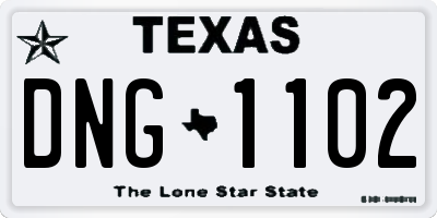 TX license plate DNG1102