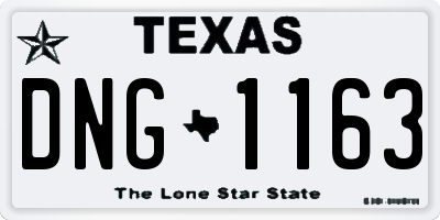 TX license plate DNG1163