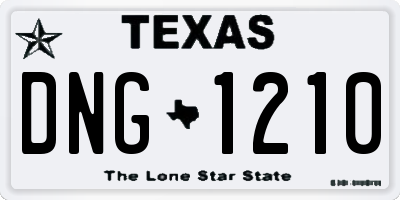 TX license plate DNG1210