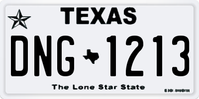 TX license plate DNG1213
