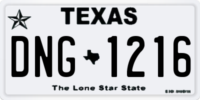 TX license plate DNG1216