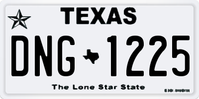 TX license plate DNG1225
