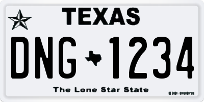 TX license plate DNG1234