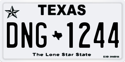 TX license plate DNG1244