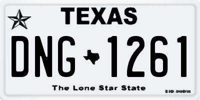 TX license plate DNG1261