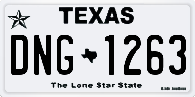 TX license plate DNG1263
