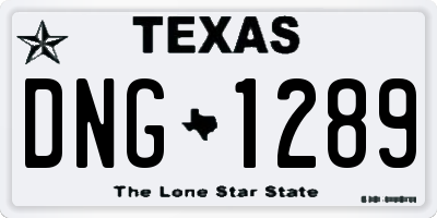TX license plate DNG1289