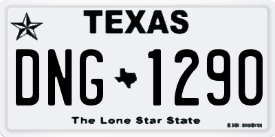 TX license plate DNG1290