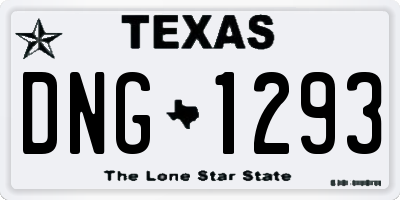 TX license plate DNG1293