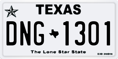 TX license plate DNG1301