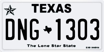 TX license plate DNG1303
