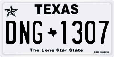 TX license plate DNG1307