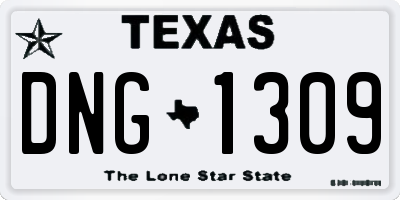 TX license plate DNG1309