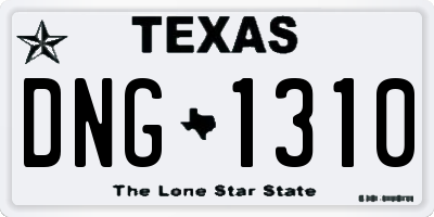 TX license plate DNG1310