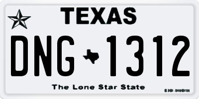 TX license plate DNG1312