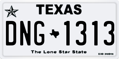 TX license plate DNG1313