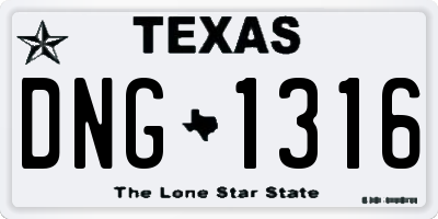 TX license plate DNG1316