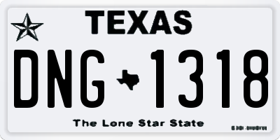 TX license plate DNG1318