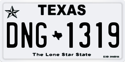 TX license plate DNG1319