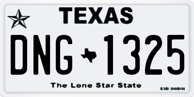 TX license plate DNG1325