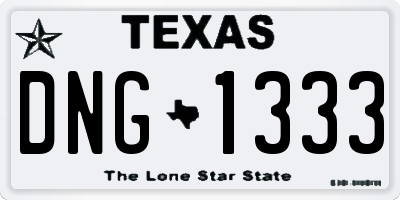 TX license plate DNG1333