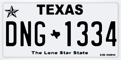 TX license plate DNG1334