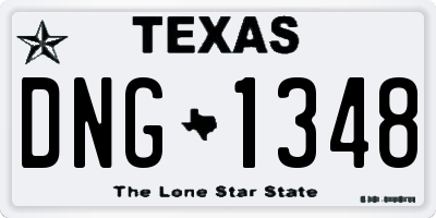 TX license plate DNG1348