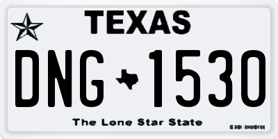 TX license plate DNG1530