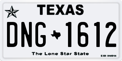 TX license plate DNG1612