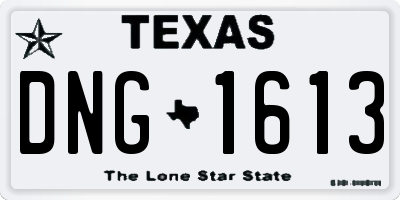 TX license plate DNG1613