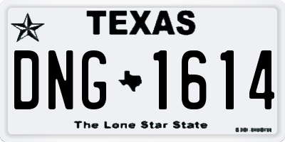 TX license plate DNG1614