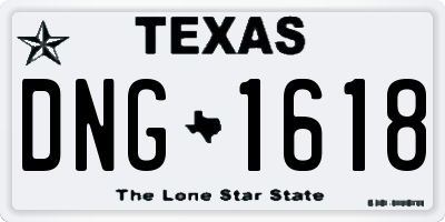 TX license plate DNG1618