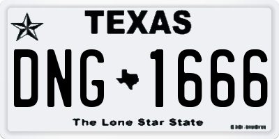 TX license plate DNG1666