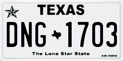 TX license plate DNG1703