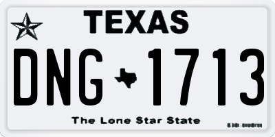 TX license plate DNG1713