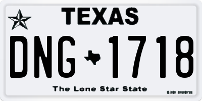 TX license plate DNG1718