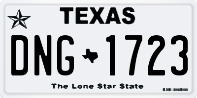 TX license plate DNG1723