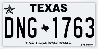 TX license plate DNG1763