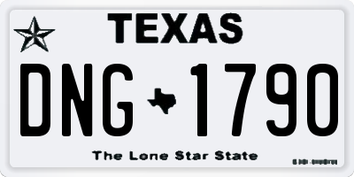 TX license plate DNG1790