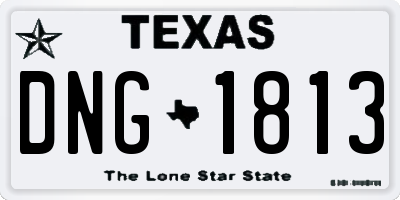 TX license plate DNG1813