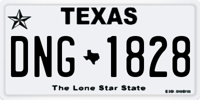 TX license plate DNG1828