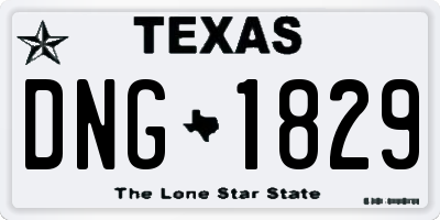 TX license plate DNG1829