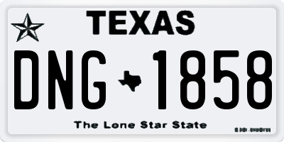 TX license plate DNG1858