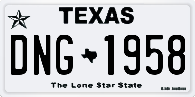 TX license plate DNG1958