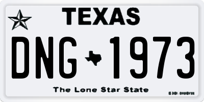 TX license plate DNG1973