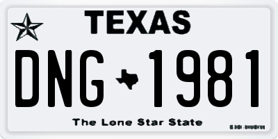 TX license plate DNG1981