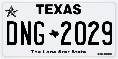 TX license plate DNG2029
