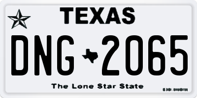 TX license plate DNG2065