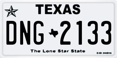 TX license plate DNG2133