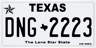 TX license plate DNG2223